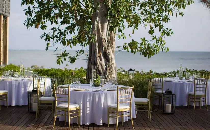 The Story of the Chechen & Chaca Trees